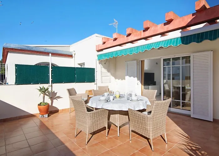 T2 Perniciario البوفيرا