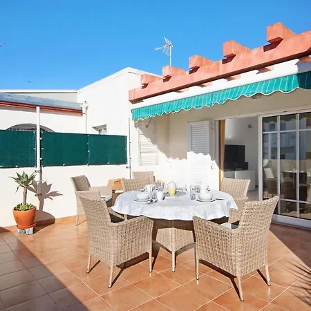 T2 Perniciario アルブフェイラ